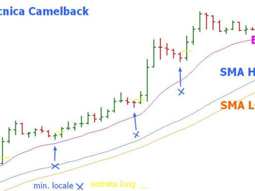 tecnica-camelback